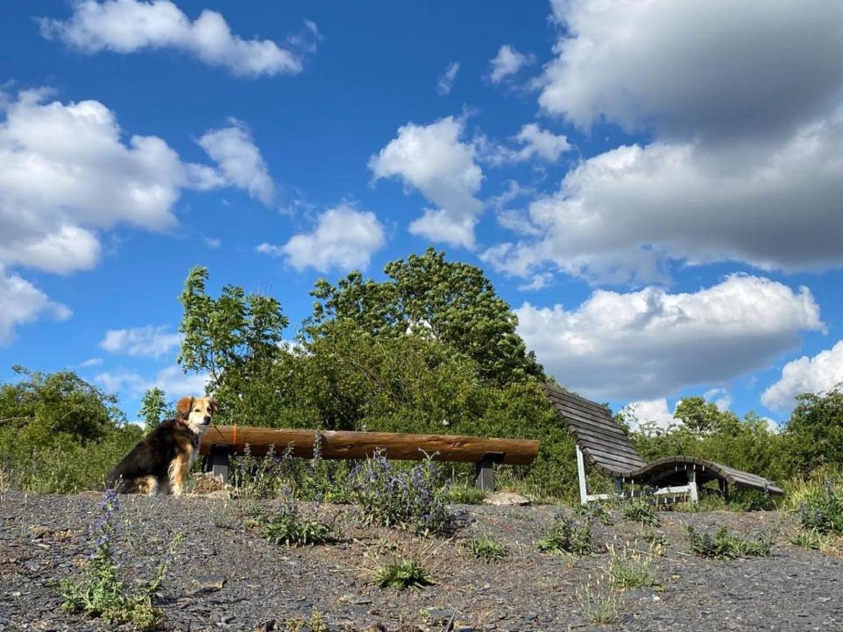 Ferienwohnungen Bauernschmause Polch Extérieur photo